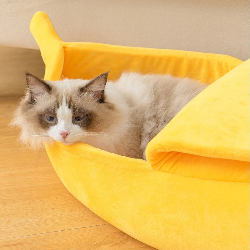 Cat lying in a yellow pet bed on a wooden floor.