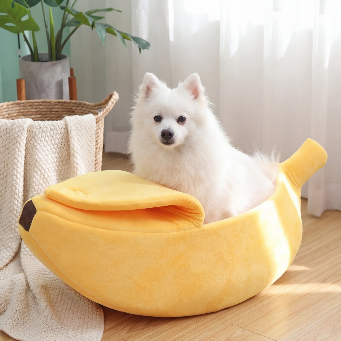 White dog sitting on a banana-shaped pet bed in a room with a plant and basket.